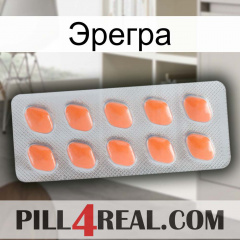 Эрегра 26